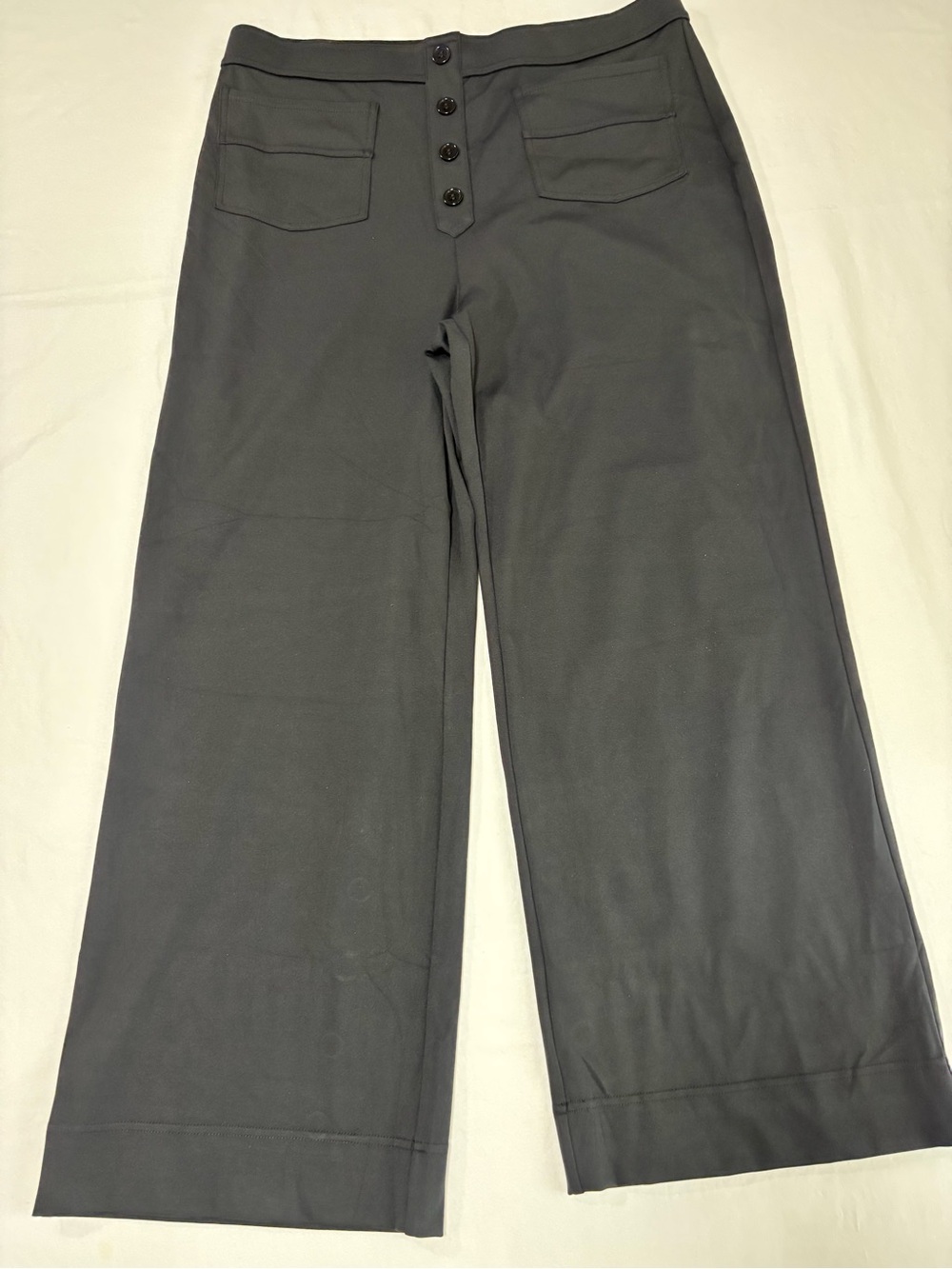 HALARA Wide Leg Pants in Black 4 button faux front.